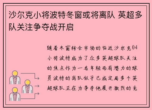 沙尔克小将波特冬窗或将离队 英超多队关注争夺战开启