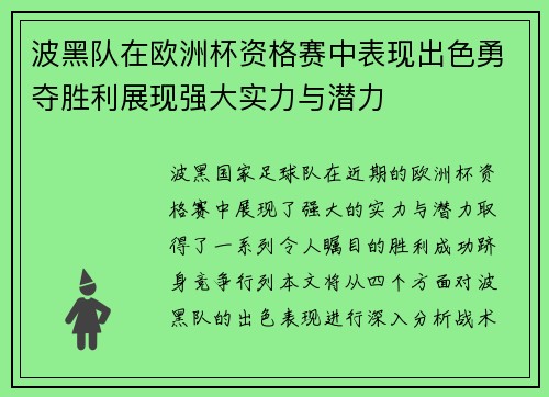 波黑队在欧洲杯资格赛中表现出色勇夺胜利展现强大实力与潜力